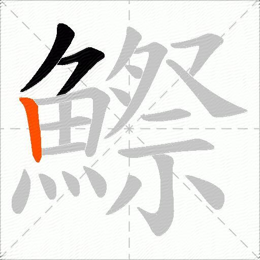 鰶