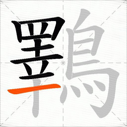鸅