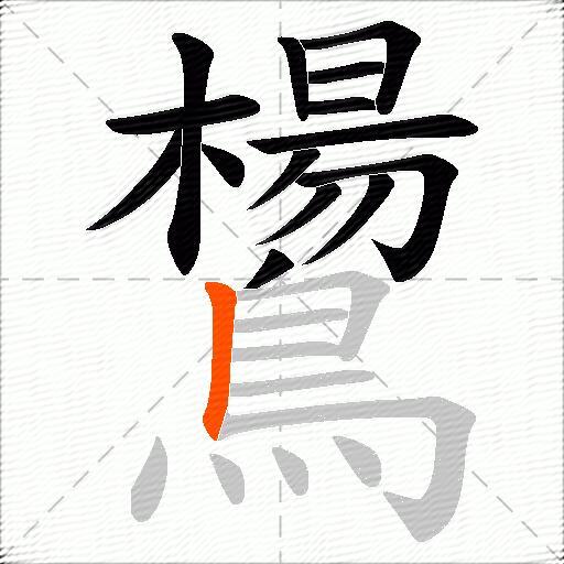 鸉