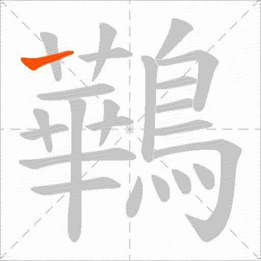 鷨