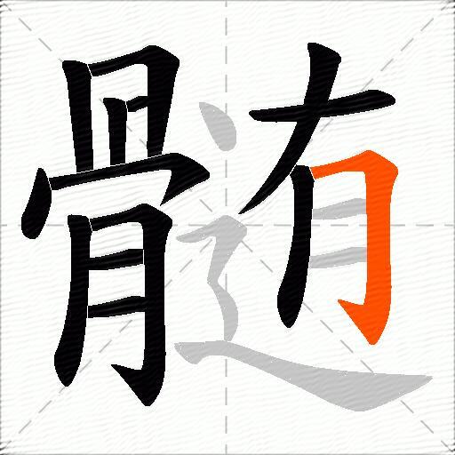 髄