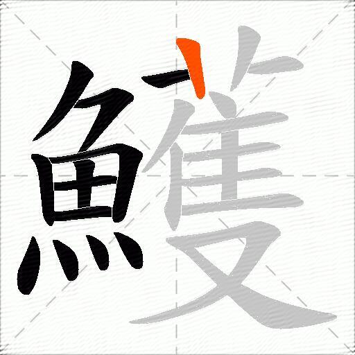 鱯