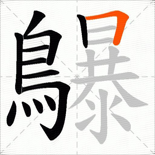 鸔
