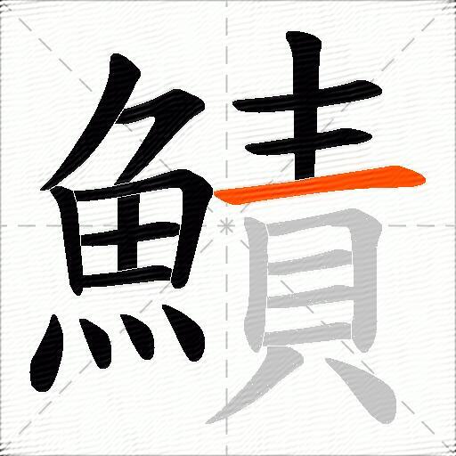 鰿