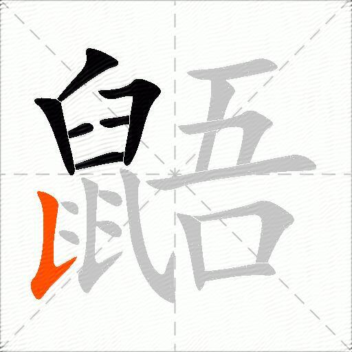 鼯