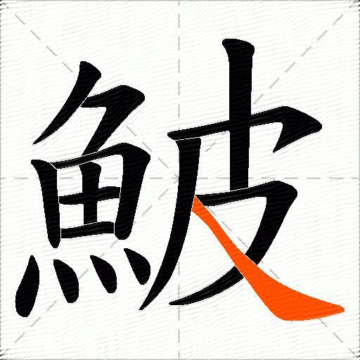 鮍