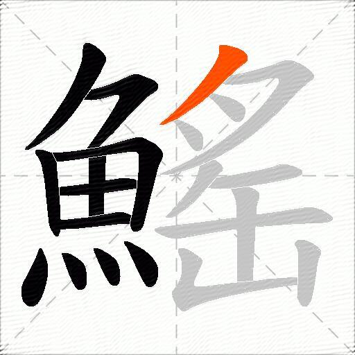 鰩