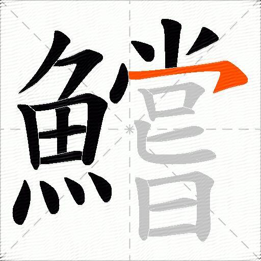 鱨