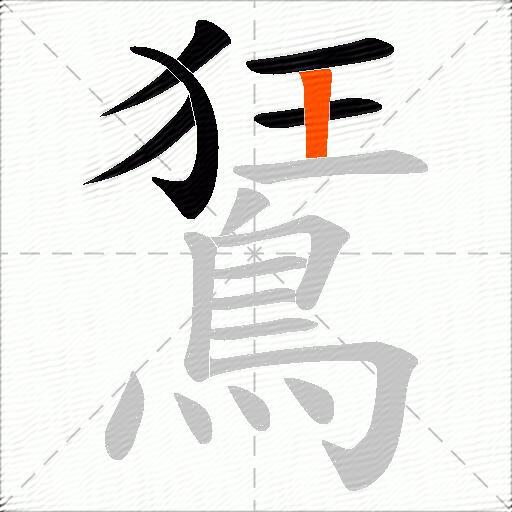 鵟
