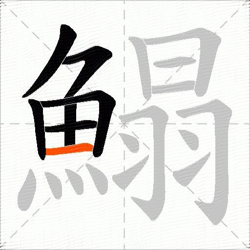 鰨