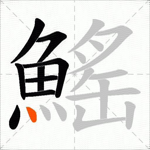 鰩