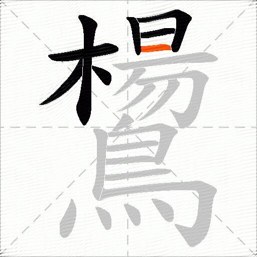 鸉