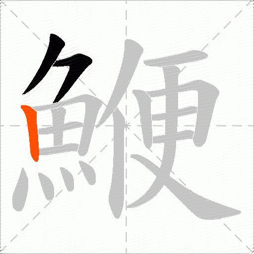 鯾