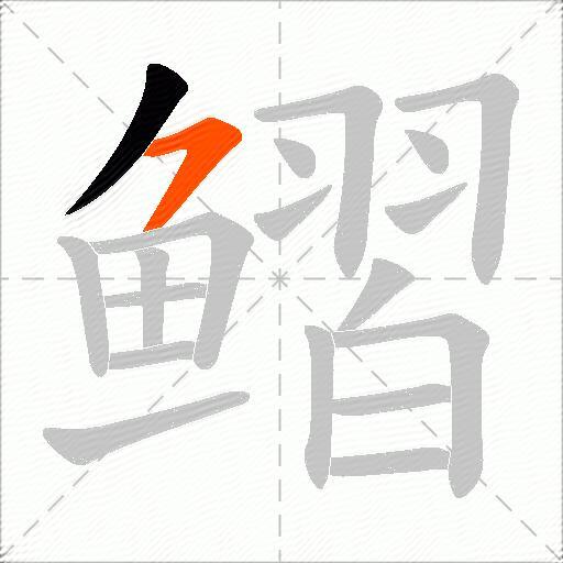 鳛