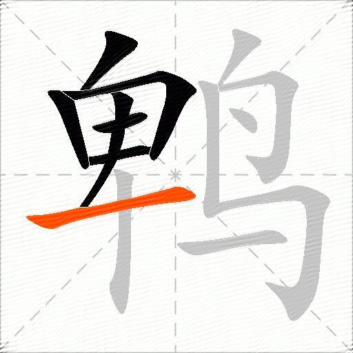鹎