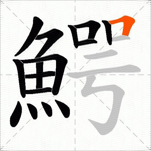 鰐