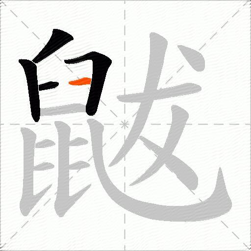 鼥