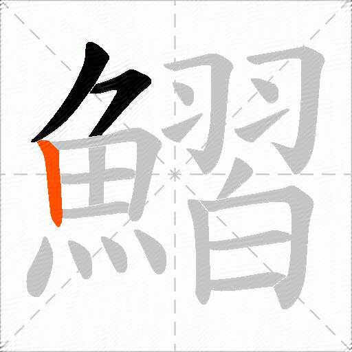 鰼