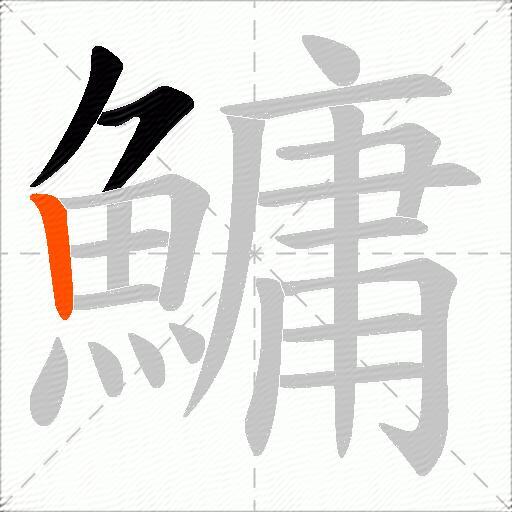 鱅