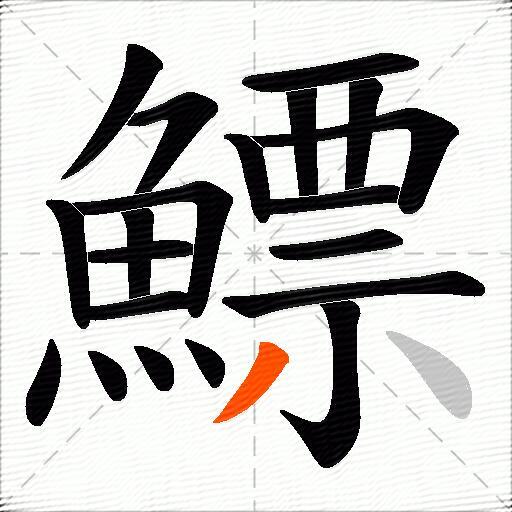 鰾