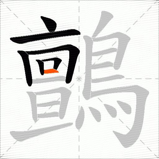 鸇