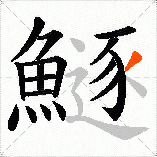 鱁