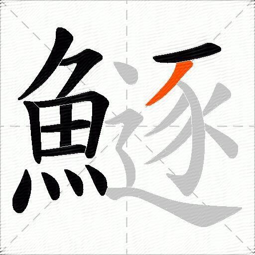 鱁