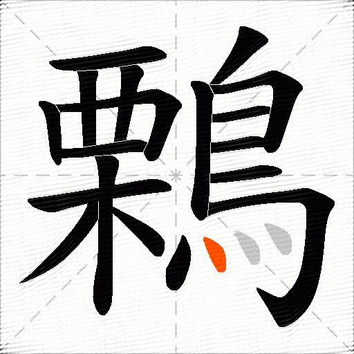 鷅