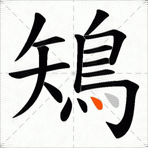 鴙