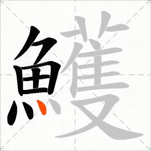 鱯