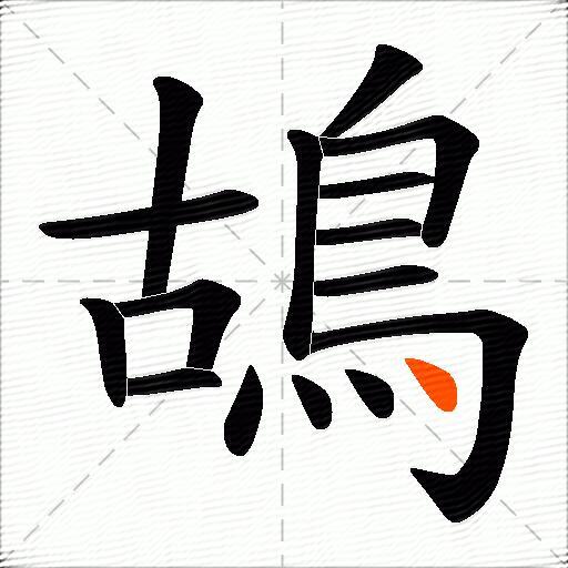 鴣