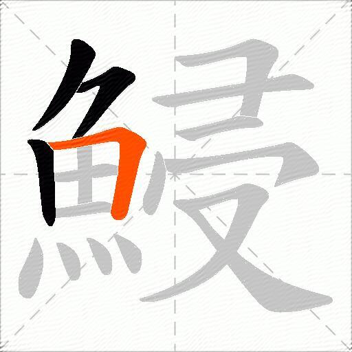 鮼