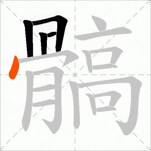 髇