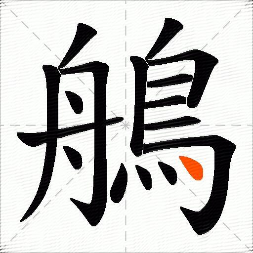 鵃