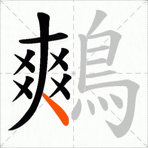 鷞