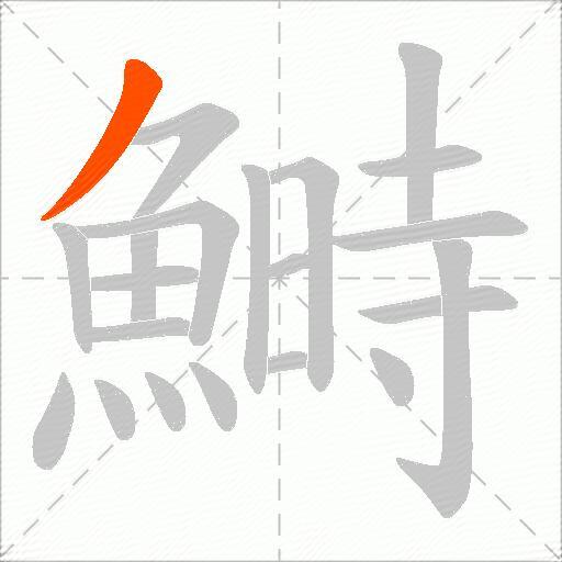 鰣