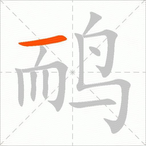 鸸