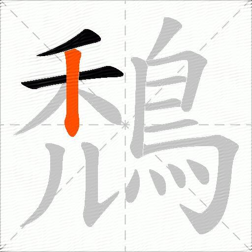 鵚