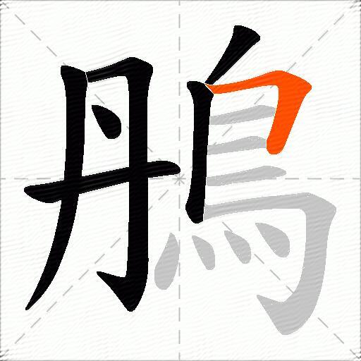 鴅
