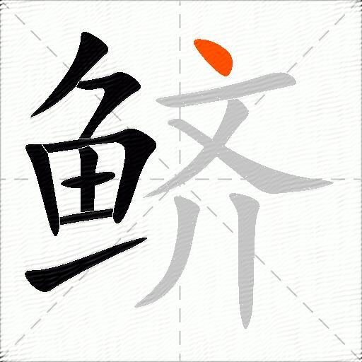 鲚