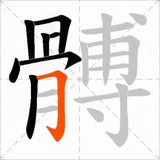 髆
