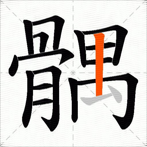 髃