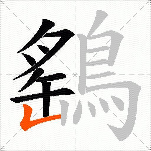 鷂