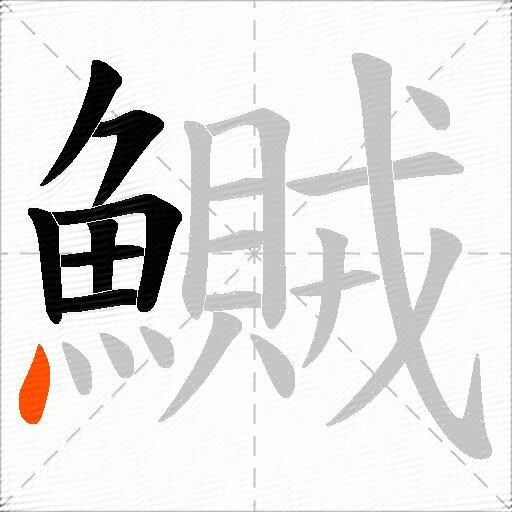 鱡