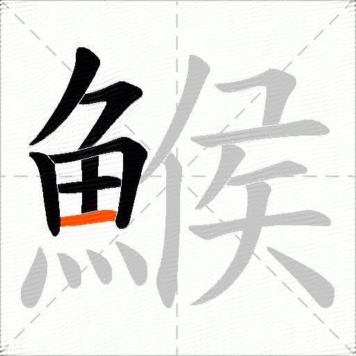 鯸