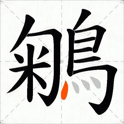 鵴