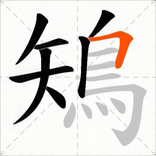 鴙