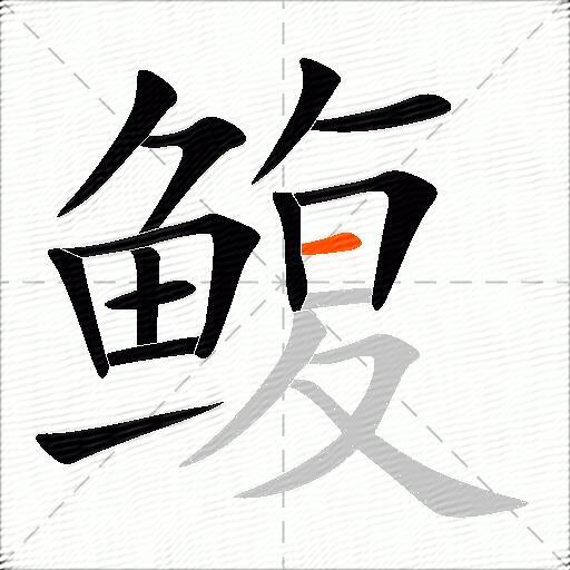 鳆