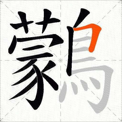 鸏