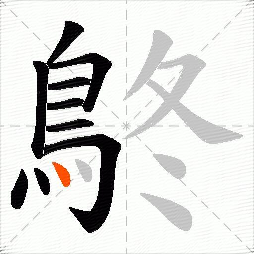 鴤